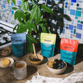 Chai Starter Kit