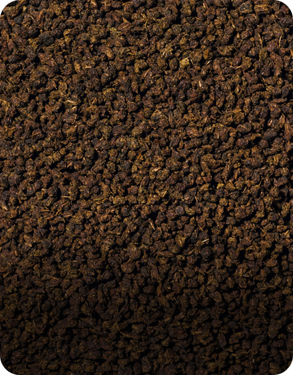 What is CTC?