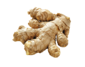 Ginger