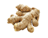 Ginger