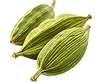green Cardamom